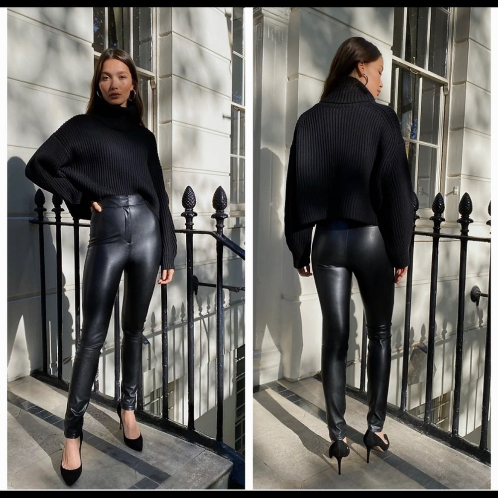 Aritzia Caspian Pant